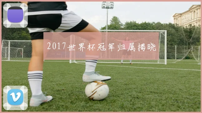 2017世界杯冠军归属揭晓
