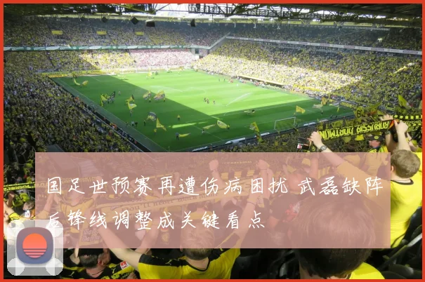 国足世预赛再遭伤病困扰 武磊缺阵后锋线调整成关键看点