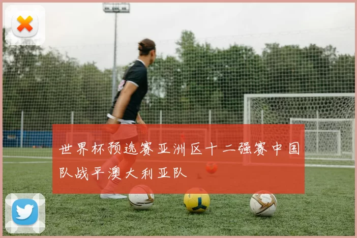 世界杯预选赛亚洲区十二强赛中国队战平澳大利亚队